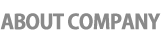 About Company